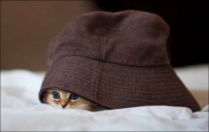 Not coming out!