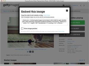 How to embed images in your blog